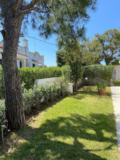 Villa A Marina Di Ostuni Exteriör bild